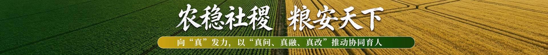 横幅图片