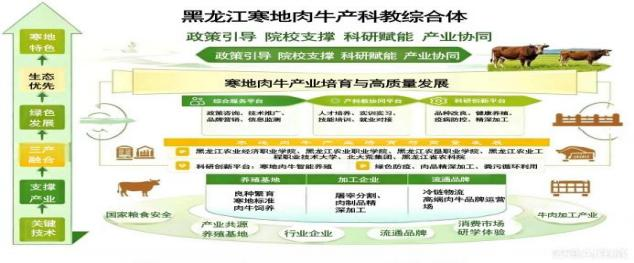 寒地肉牛产科教综合体